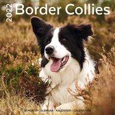 Border Collies Kalender 2022