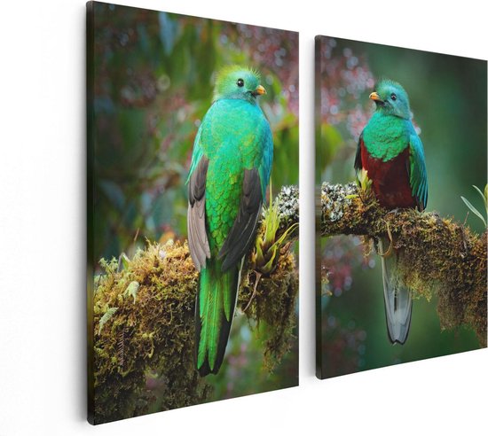 Artaza - Canvas Schilderij - Twee Groene Quetzal Vogels Op Een Tak - Foto Op Canvas - Canvas Print