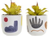 Decoratieve plant DKD Home Decor Wit PVC Dolomite (2 pcs) (10.5 x 10.5 x 19.5 cm)