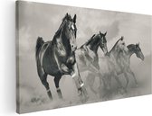 Artaza Canvas Schilderij Vier Paarden Naast Elkaar - Zwart Wit - 100x50 - Groot - Foto Op Canvas - Canvas Print