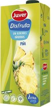 Nectar Juver (2 L)