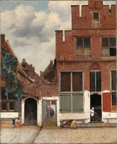 Het straatje op aluminium - Wandeko | Staand 80x100cm | Johannes Vermeer | Dibond