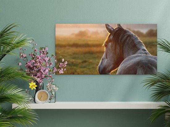 Artaza Peinture sur toile Cheval dans la prairie pendant le coucher du soleil – 40 x 20 – Klein – Image sur toile – Impression sur toile