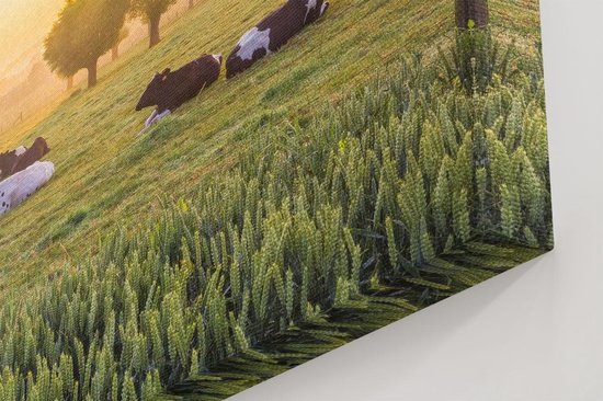 Dichtbij detail van koeien, waarvan één met vlekken, liggend op een groene, schuin aflopende weide met hoge grassprieten.