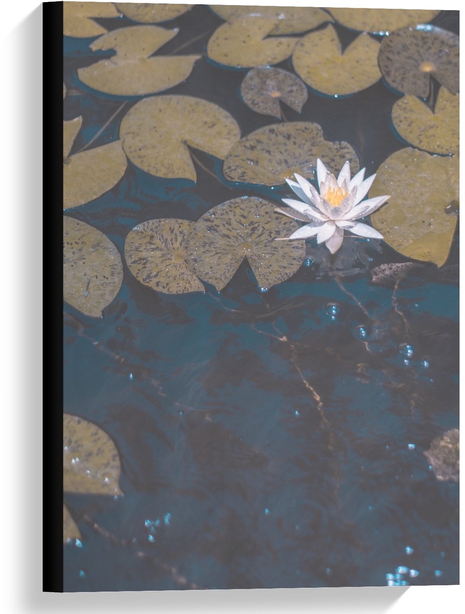 KuijsFotoprint Canvas - Waterlelies - 40x60cm Foto op Canvas Schilderij (Wanddecoratie op Canvas) Blauw