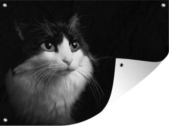 Poster For Sale Avec L'œuvre « Milieu Du Siècle Chat Noir Et Blanc Art Abstrait Impression Peinture Décoration Murale » De L'artiste Winterkitty88