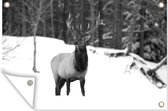 Tuinposter - Tuindoek - Tuinposters buiten - Hert in de sneeuw - zwart wit - 120x80 cm - Tuin