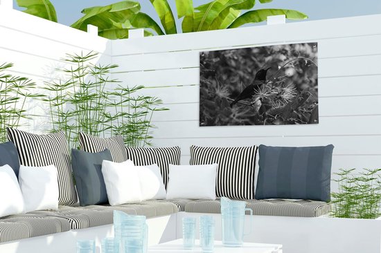 Tuinposter 60x40 cm - Tuindecoratie Vogel tussen de bladeren in de jungle - zwart wit - Poster voor in de tuin - Buiten decoratie - Schutting tuinschilderij - Tuindoek muurdecoratie - Wanddecoratie balkondoek