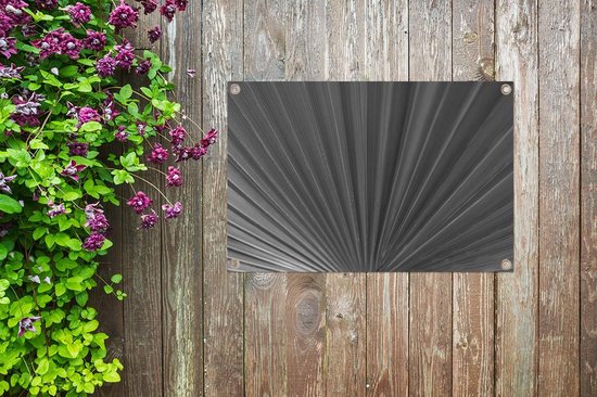 Posters de jardin Gros plan sur une feuille de palmier - noir et blanc - 90x60 cm