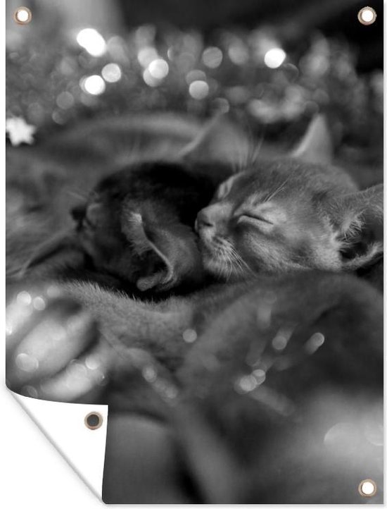 Tuinposter - Tuindoek - Tuinposters buiten - Slapende kittens en moeder kat tussen de kerstversiering - zwart wit - 90x120 cm - Tuin