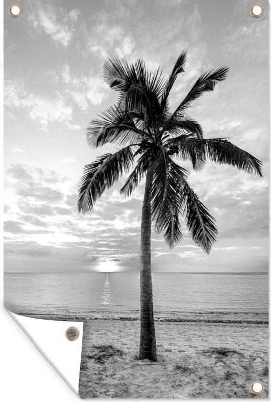 Tuinposter - Tuindoek - Tuinposters buiten - Palmboom op het strand bij zonsondergang - zwart wit - 80x120 cm - Tuin