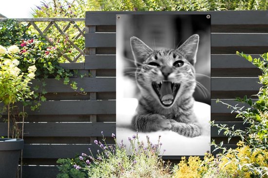 Affiche jardin - Toile jardin - Posters de jardin extérieur - Chat bâillant de près - noir et blanc - 80x120 cm - Jardin