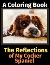 The Reflections of My Cocker Spaniel