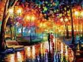 Schilderen Op Nummer Volwassenen - Do It Yourself Paintings - Dansen In De Regen - Stadspark - Romantisch - Romantisch Park - Kleurrijk - 40x50 cm - Canvas