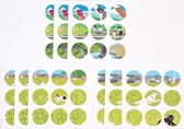 Een Dagje Uit Stippen Stickers | Mooie Leuke Schattige Stickers | Ronde Stickers | To Do Stickers | Stippen om te Organiseren | Plakboeken | Bullet Journal | Journaling | Fotoboeken | Decoreren | Versieren | Bloemen Groen Geel Blauw Katten Honden