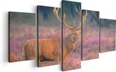 Artaza Canvas Schilderij Vijfluik Hert In De Weide Tijdens Zonsondergang - 100x50 - Foto Op Canvas - Canvas Print