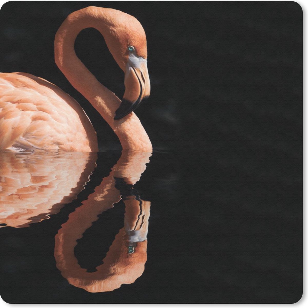Muismat 30x30 cm - Mousepad Flamingo - Water - Reflectie - Muismatten