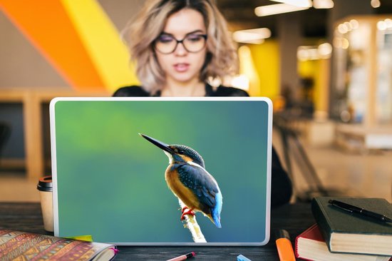 Autocollant pour ordinateur portable - 17,3 pouces - Martin-pêcheur - Branches - Blauw - 40x30cm - Autocollants pour ordinateur portable - Peau pour ordinateur portable - Couverture