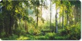 Bol.com Bureau onderlegger - Muismat - Bureau mat - Bos - Zon - Bomen - 80x40 cm aanbieding