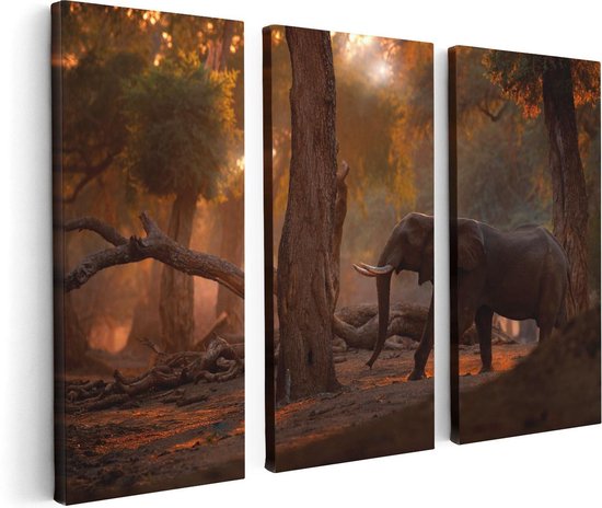 Artaza Canvas Schilderij Drieluik Olifant In het Bos - 120x80 - Foto Op Canvas - Canvas Print