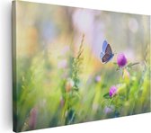 Artaza - Peinture sur toile - Papillon bleu avec une Bloem pourpre - 120 x 80 - Groot - Photo sur toile - Impression sur toile