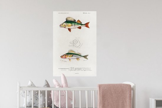 Stickers muraux - Poisson - Vintage - Réalisme - 40x60 cm - Feuille adhésive