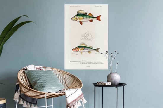 Stickers muraux - Poisson - Vintage - Réalisme - 40x60 cm - Feuille adhésive