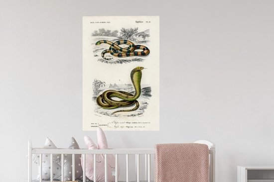 Stickers muraux - Film autocollant - Serpent - Vintage - Reptiles - 60x90 cm - Film adhésif - Stickers muraux Chambre d'enfant - Papier peint autocollant