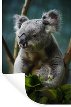 Stickers muraux - Koala - Eucalyptus - Feuilles - 40x60 cm - Film Adhésif