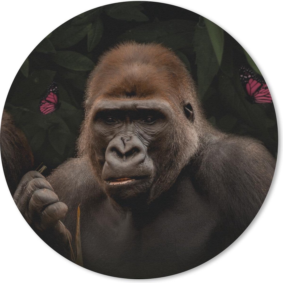 Muismat rond 40x40 cm - Mousepad Vlinders - Aap - Jungle - Ronde muismatten