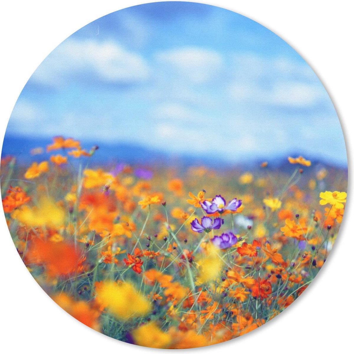 Muismat rond 50x50 cm - Mousepad Cosmos - Kleuren - Lente - Ronde muismatten