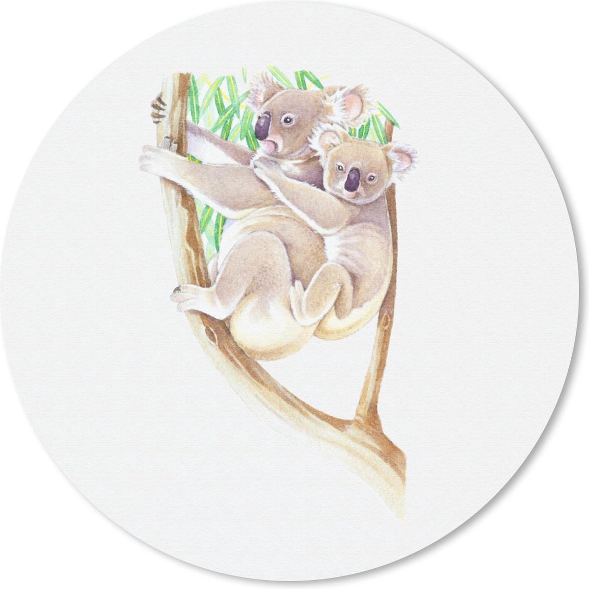 Muismat rond 40x40 cm - Mousepad Koala - Tak - Waterverf - Ronde muismatten