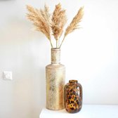 Natural Collections - Droogbloemen - Volle pampas pluimen - Wild Reed 70 gram - 65 tot 75 cm