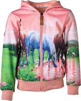 Meisjes vest Roze/zalm met paarden | Maat 116/ 6Y