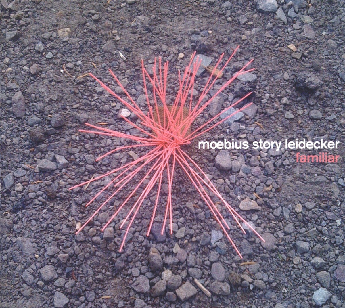 Dieter Moebius, Tim Story, Jon Leidecker - Familiar (CD)