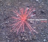 Moebius & Story & Leidecker - Familiar (CD)