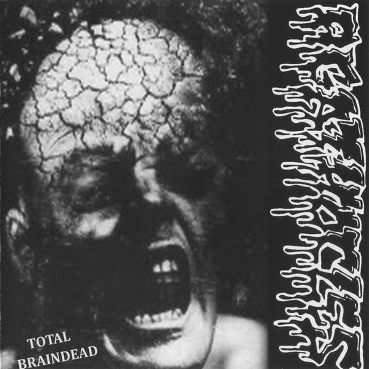 Agathocles & Disorder - Split (CD)