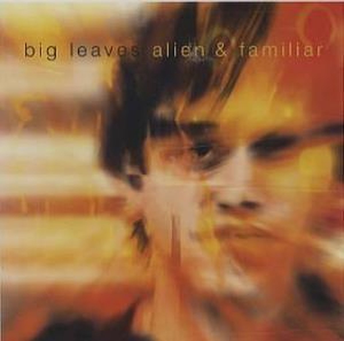 Big Leaves - Alien & Familiar (CD)