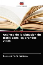 Analyse de la situation du trafic dans les grandes villes