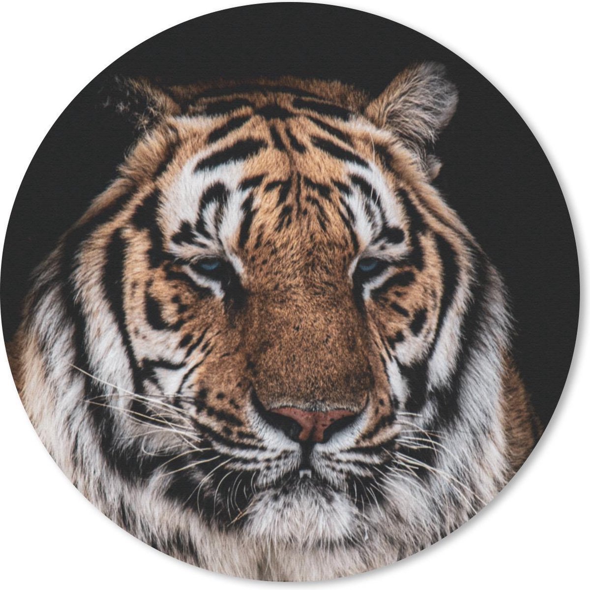 Muismat rond 40x40 cm - Mousepad Tijger - Dieren - Oranje - Ronde muismatten