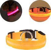 Lichtgevende Halsband Hond – LED Halsband – Verlichting hond – Hondenhalsband Puppy - Halsbandjes voor puppys – Geel - XS