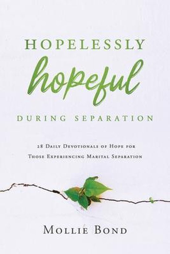 Hopelessly Hopeful During Separation - cover