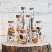 Set de 8 verres avec fleurs séchées et liège - Bouquet de Fleurs séchées - 8 pièces - Fleurs séchées en verre