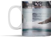 Mok - Een grote zeehond ligt op een ijsschots - 350 ml - Beker