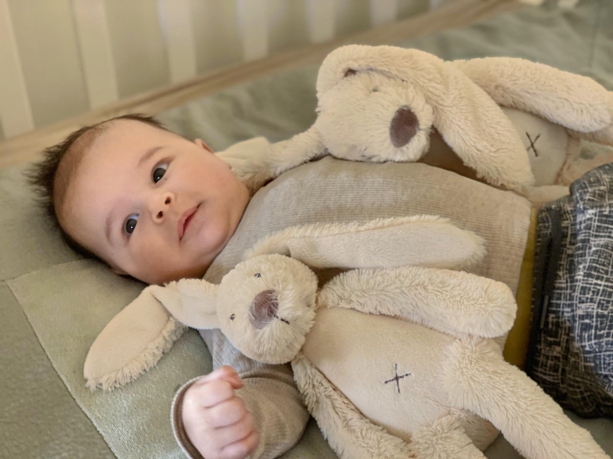 Happy Horse Konijn Richie Knuffel 38cm - Beige - Baby knuffel — afbeelding 2