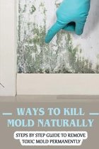 Ways To Kill Mold Naturally: Steps By Step Guide To Remove Toxic Mold Permanently