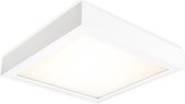 Bisolux Opbouw Master Paneel - 60x60 cm LED paneel - Wit - Niet dimbaar