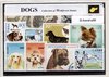 Afbeelding van het spelletje Honden – Luxe postzegel pakket (A6 formaat) : collectie van 50 verschillende postzegels van honden – kan als ansichtkaart in een A6 envelop - authentiek cadeau - kado tip - geschenk - kaart - huisdieren - huisdier - hond - viervoeter - hondenrassen