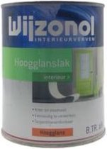 Wijzonol Hoogglanslak Terpentineverdunbaar RAL9005  Gitzwart 1 Liter