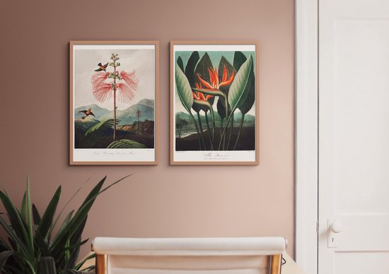 muziek Inwoner lotus Fotowand Thornton - Botanisch Kunst Prints - Poster Set van 2 - 50x70 cm -  Bloemen &... | bol.com